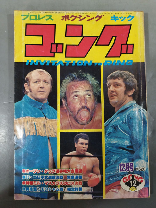 月刊ゴングVol.10 No.17