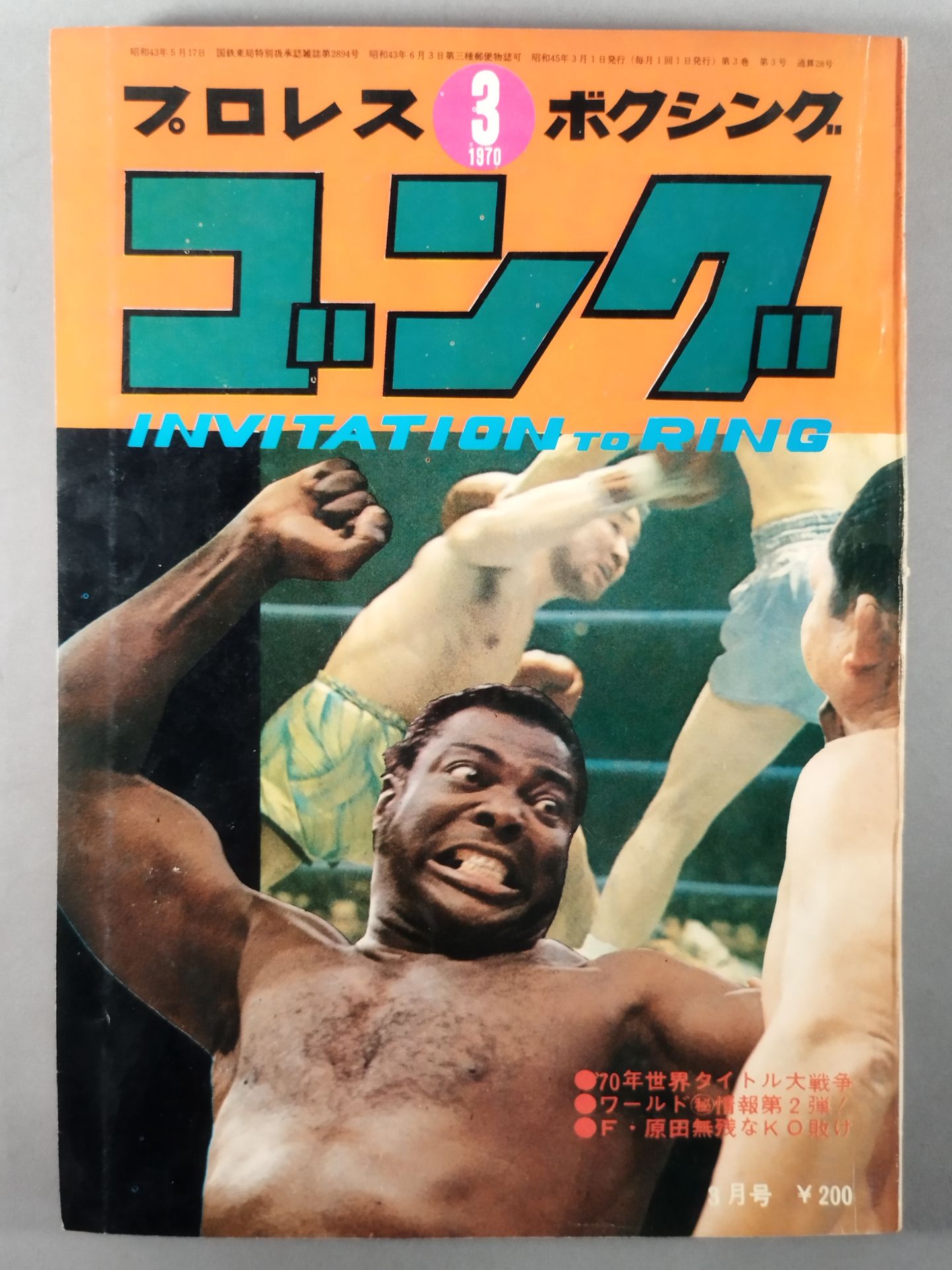 月刊ゴングVol.3 No.3