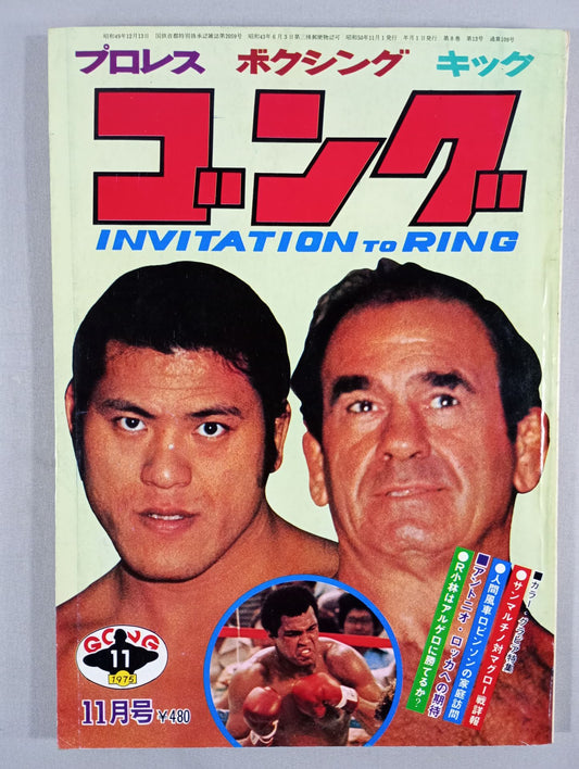 月刊ゴングVol.8 No.13