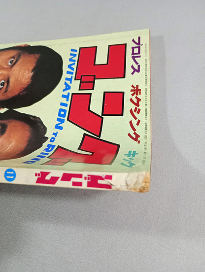 月刊ゴングVol.8 No.13
