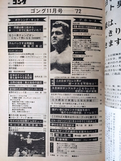 月刊ゴングVol.5 No.14