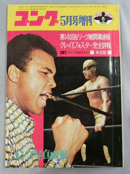 月刊ゴングVol.5 No.6増刊