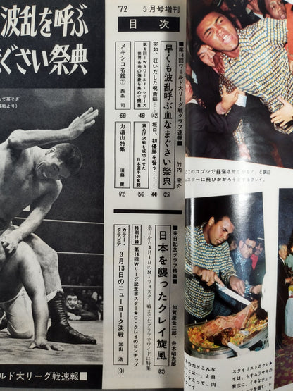月刊ゴングVol.5 No.6増刊