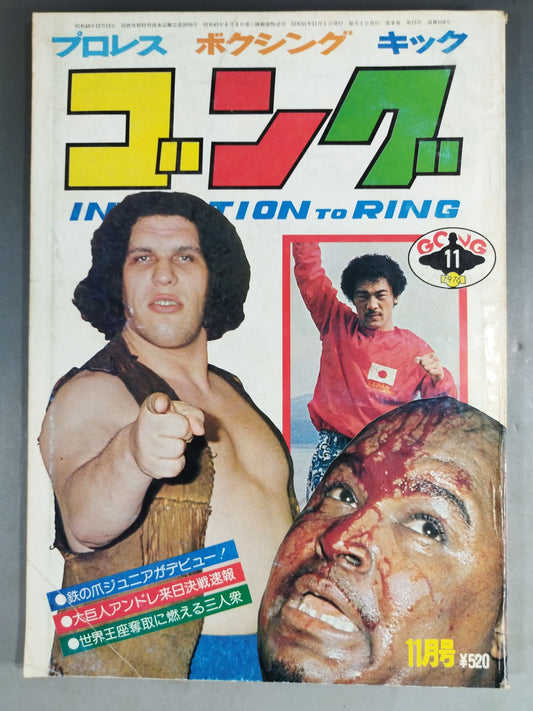 Monthly Gong Vol.9 No.15