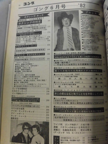 ★テリー・ファンク ミニカラーカード付★ 月刊ゴング Vol.15 No.6