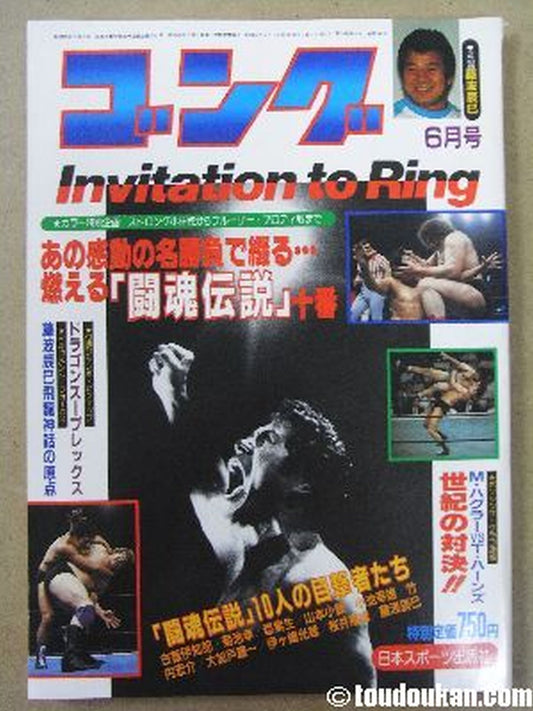 月刊ゴングVol.18 No.6