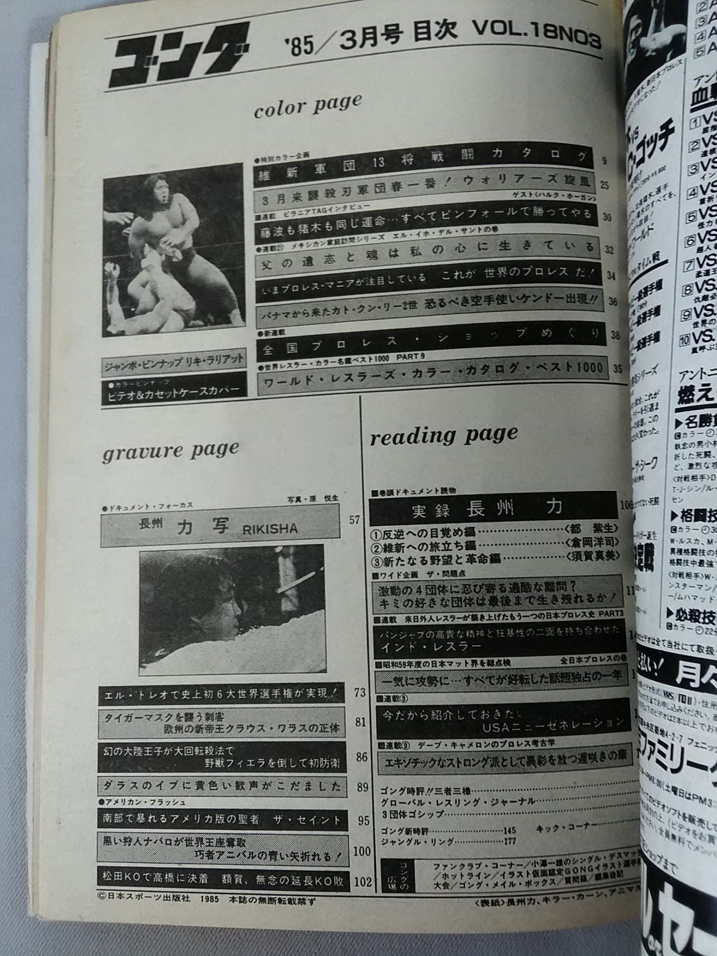 月刊ゴングVol.18 No.3