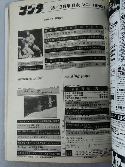 月刊ゴングVol.18 No.3