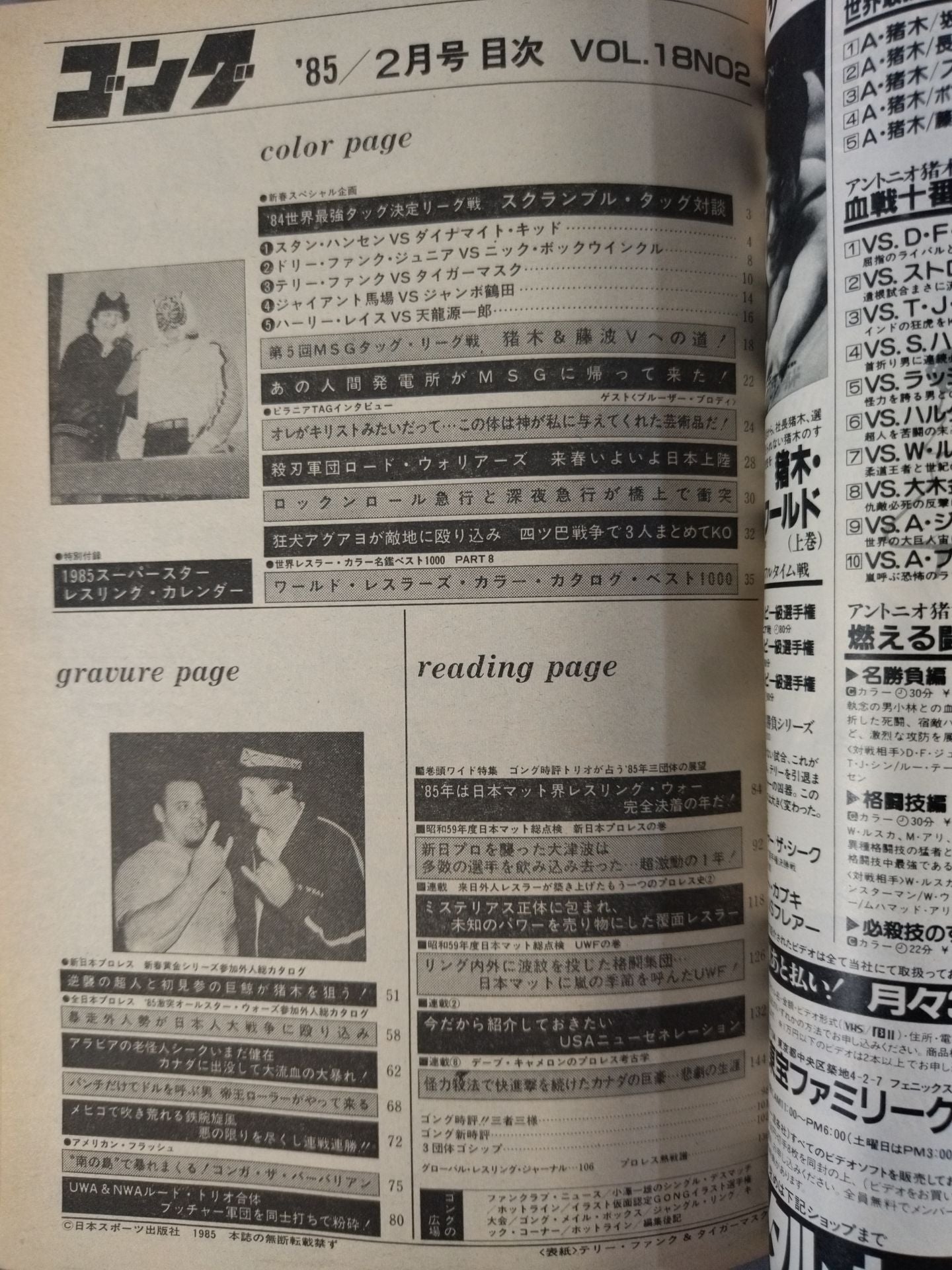月刊ゴングVol.18 No.2
