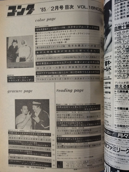 月刊ゴングVol.18 No.2