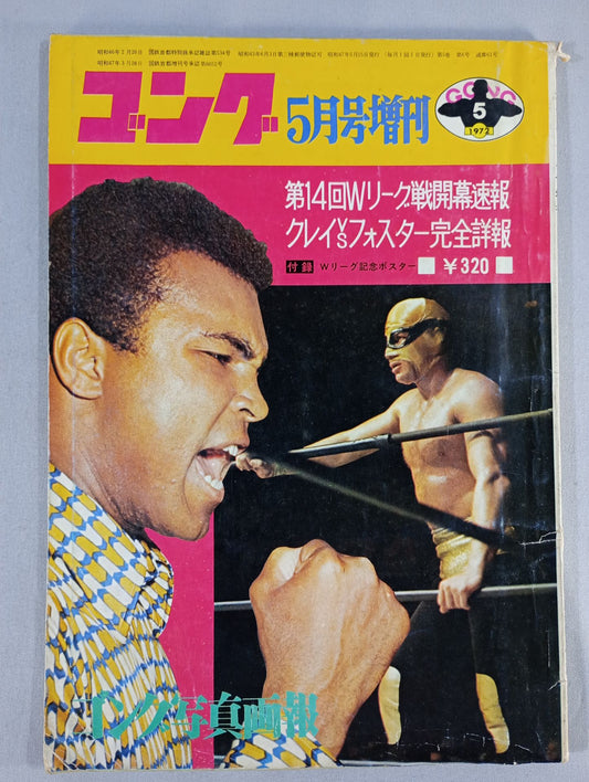 月刊ゴングVol.5 No.6増刊