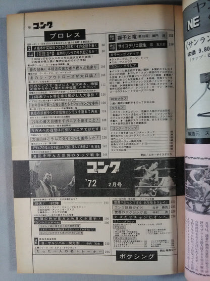 Monthly Gong Vol.5 No.2