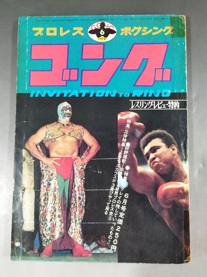 Monthly Gong Vol.5 No.6