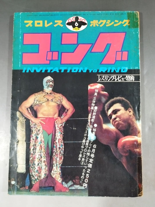 Monthly Gong Vol.5 No.6