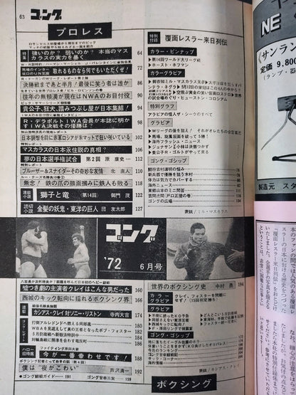 Monthly Gong Vol.5 No.6