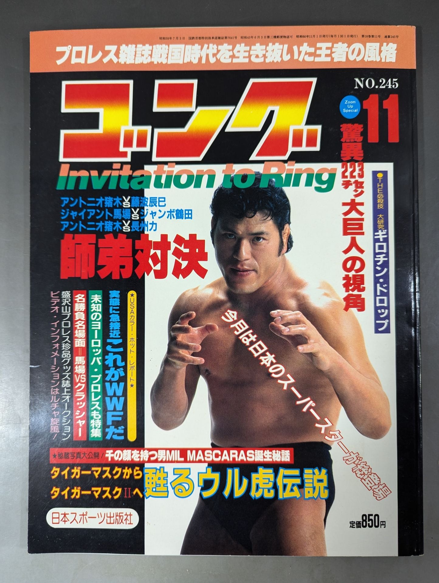 月刊ゴングVol.18 No.11