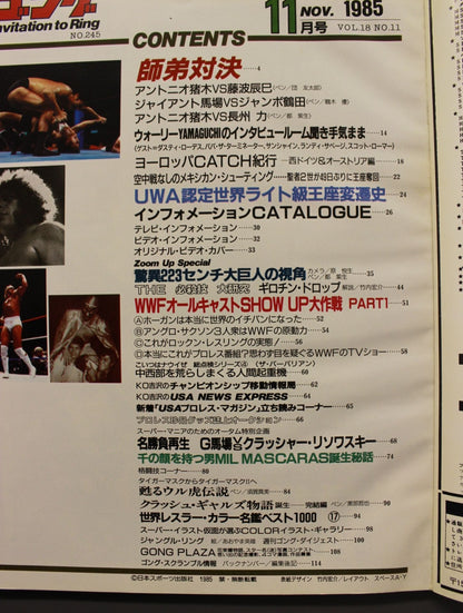 月刊ゴングVol.18 No.11