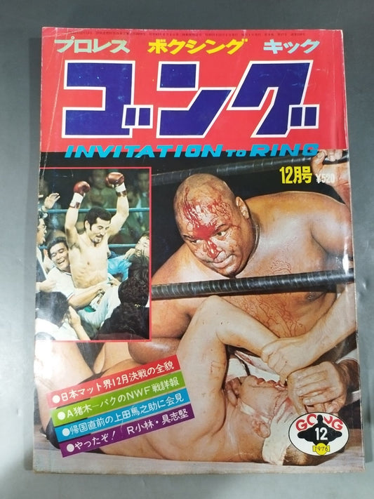 月刊ゴングVol.9 No.17
