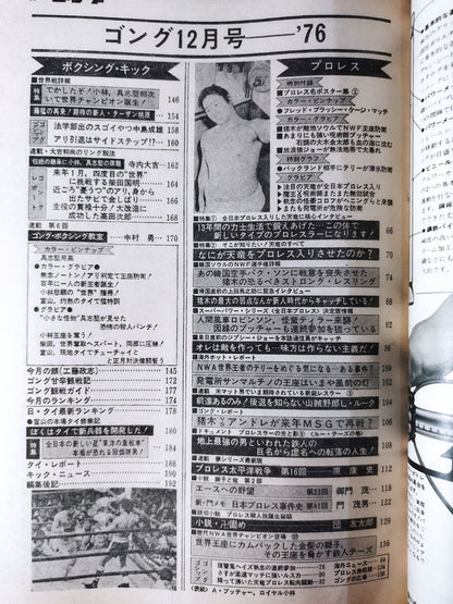 月刊ゴングVol.9 No.17