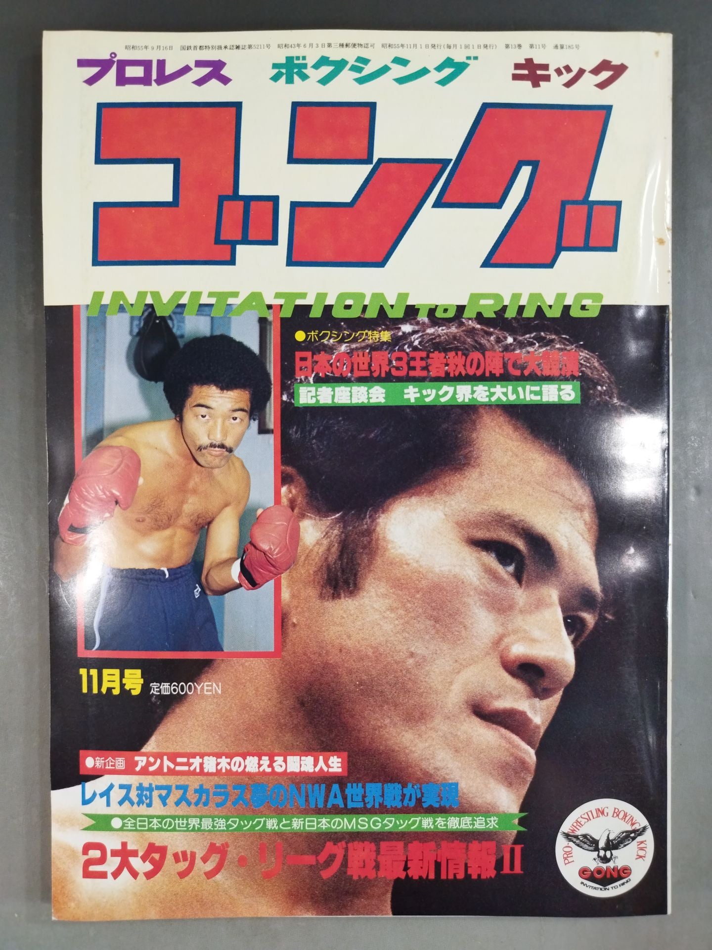 月刊ゴングVol.13 No.11