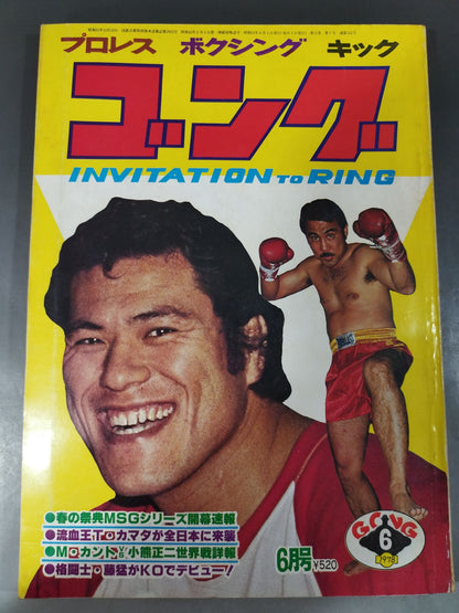 月刊ゴングVol.11 No.7