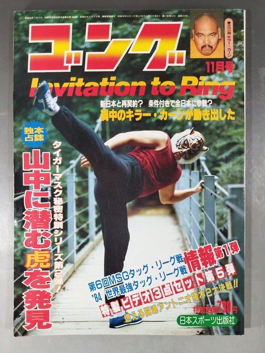 Monthly Gong Vol.17 No.11