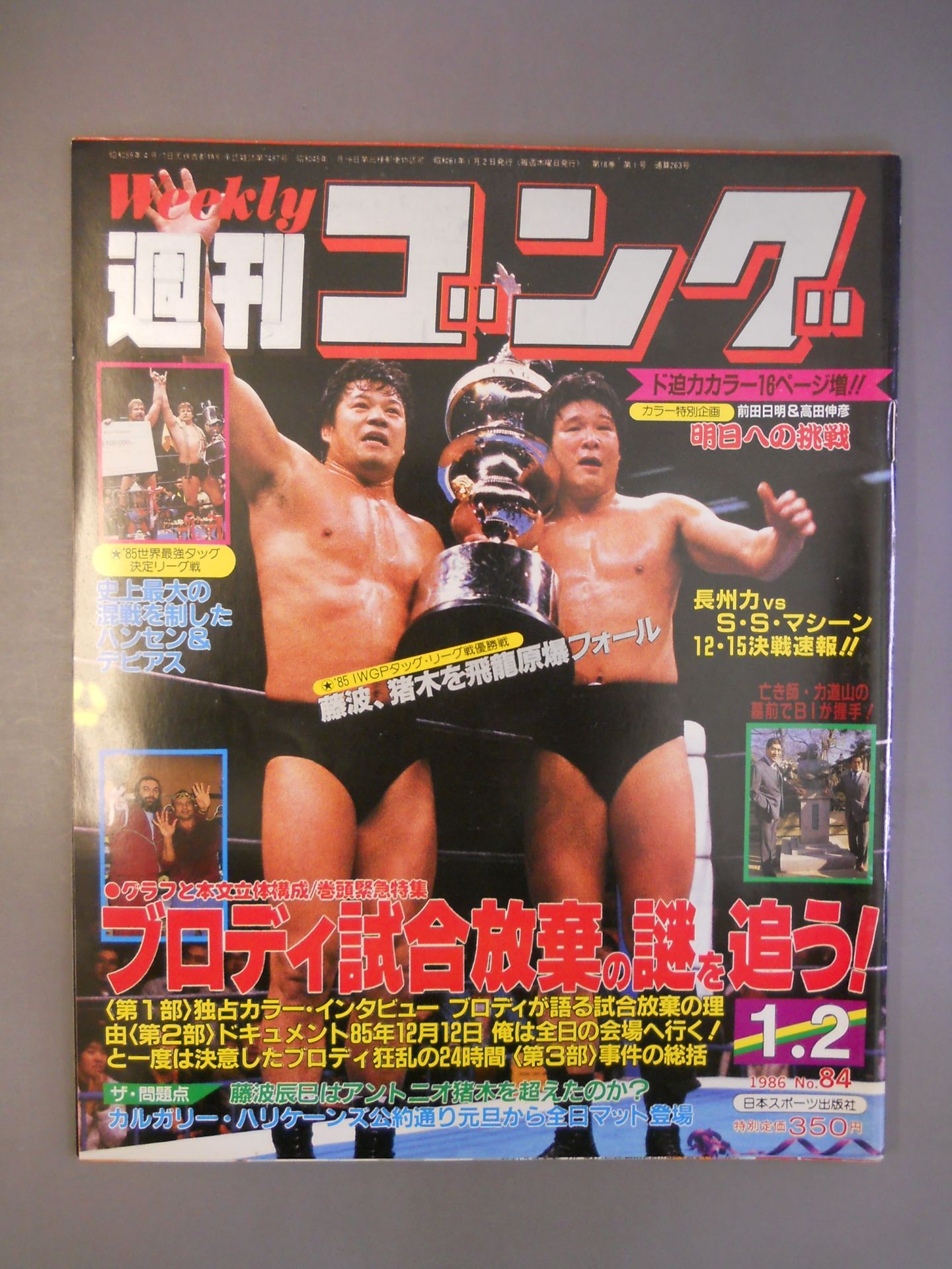 週刊ゴング84