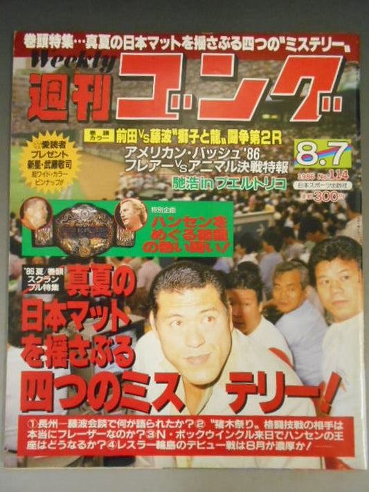 週刊ゴング114