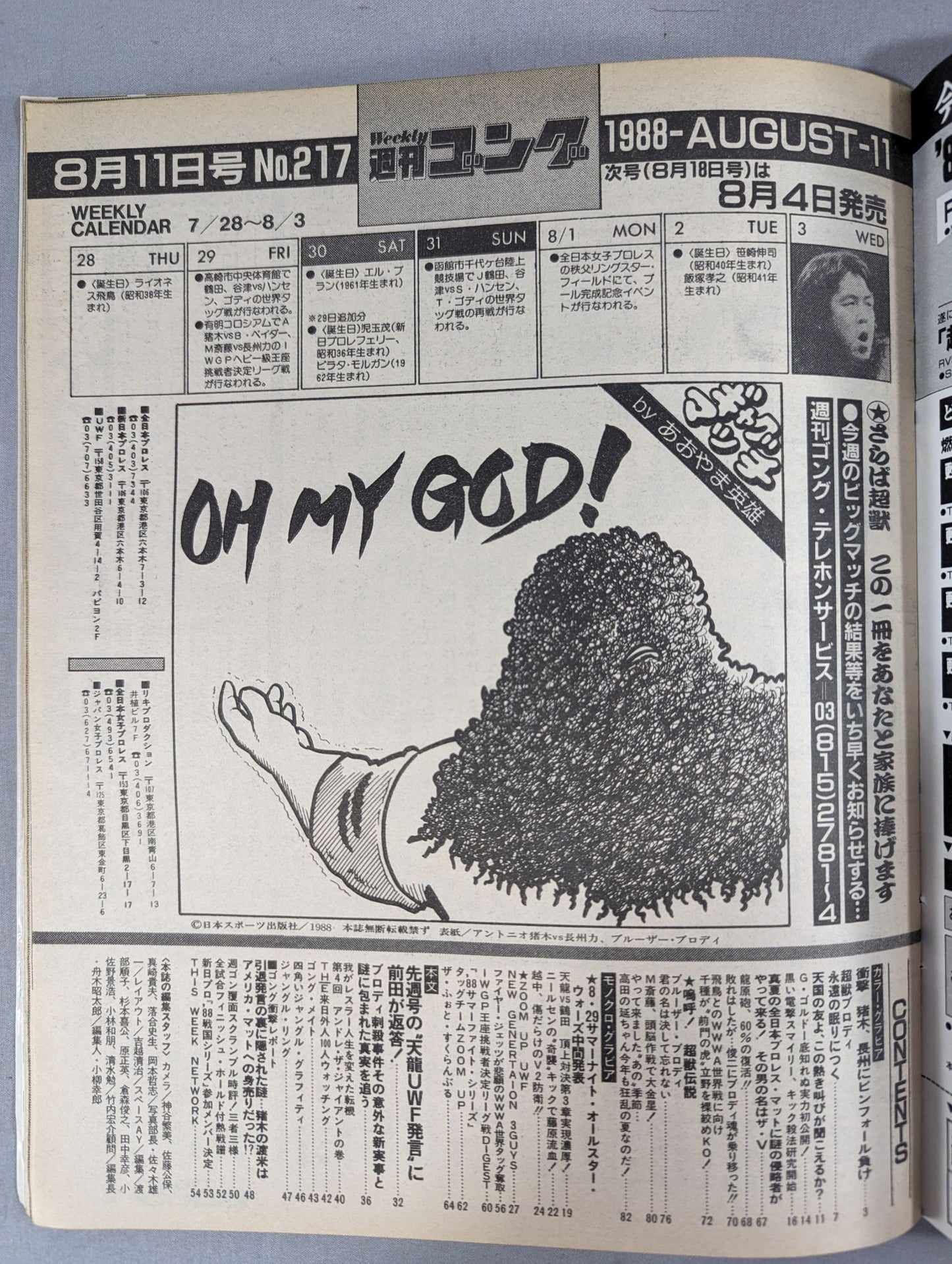 週刊ゴング217