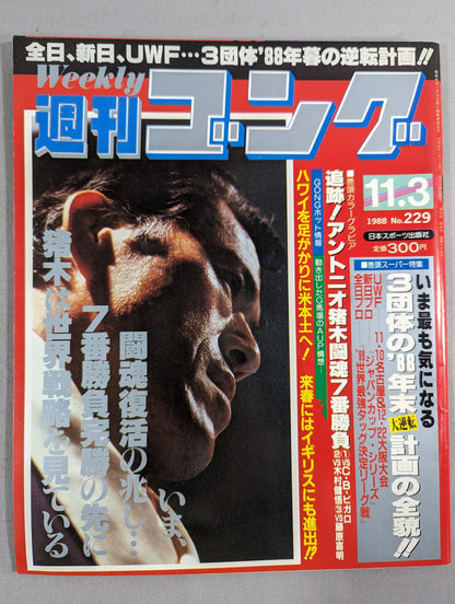 週刊ゴング229