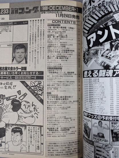 週刊ゴング233
