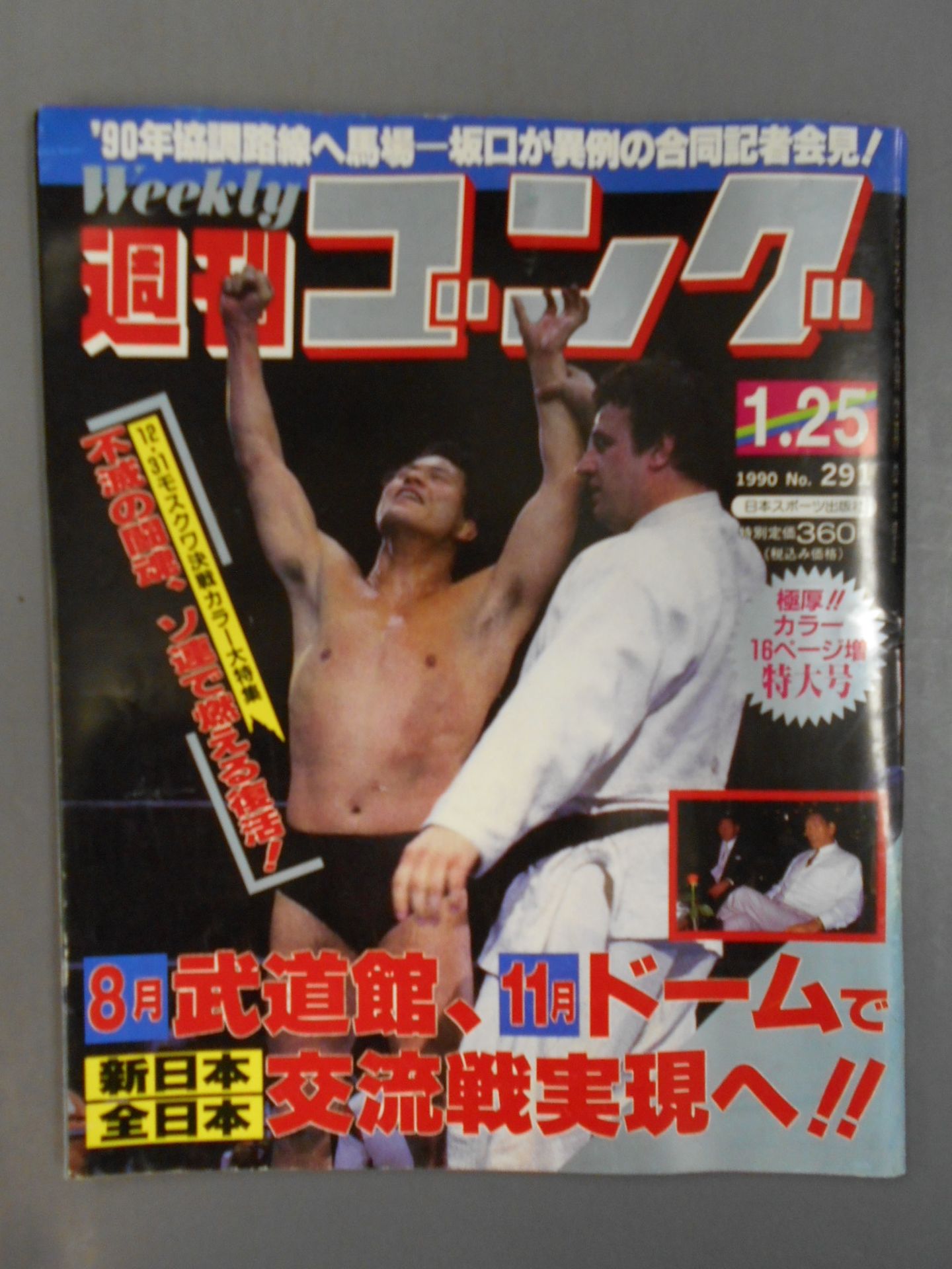 週刊ゴング291