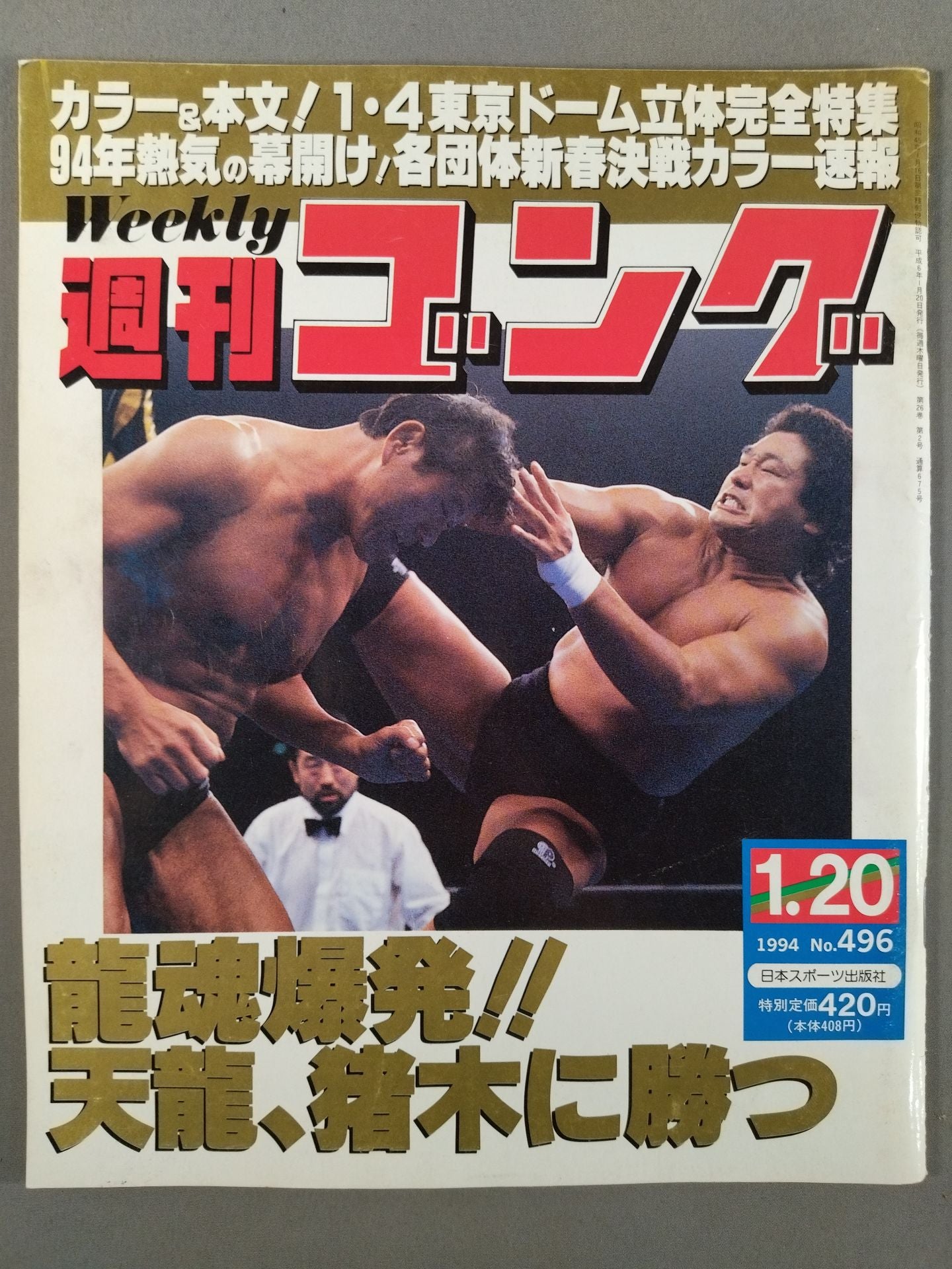 週刊ゴング496