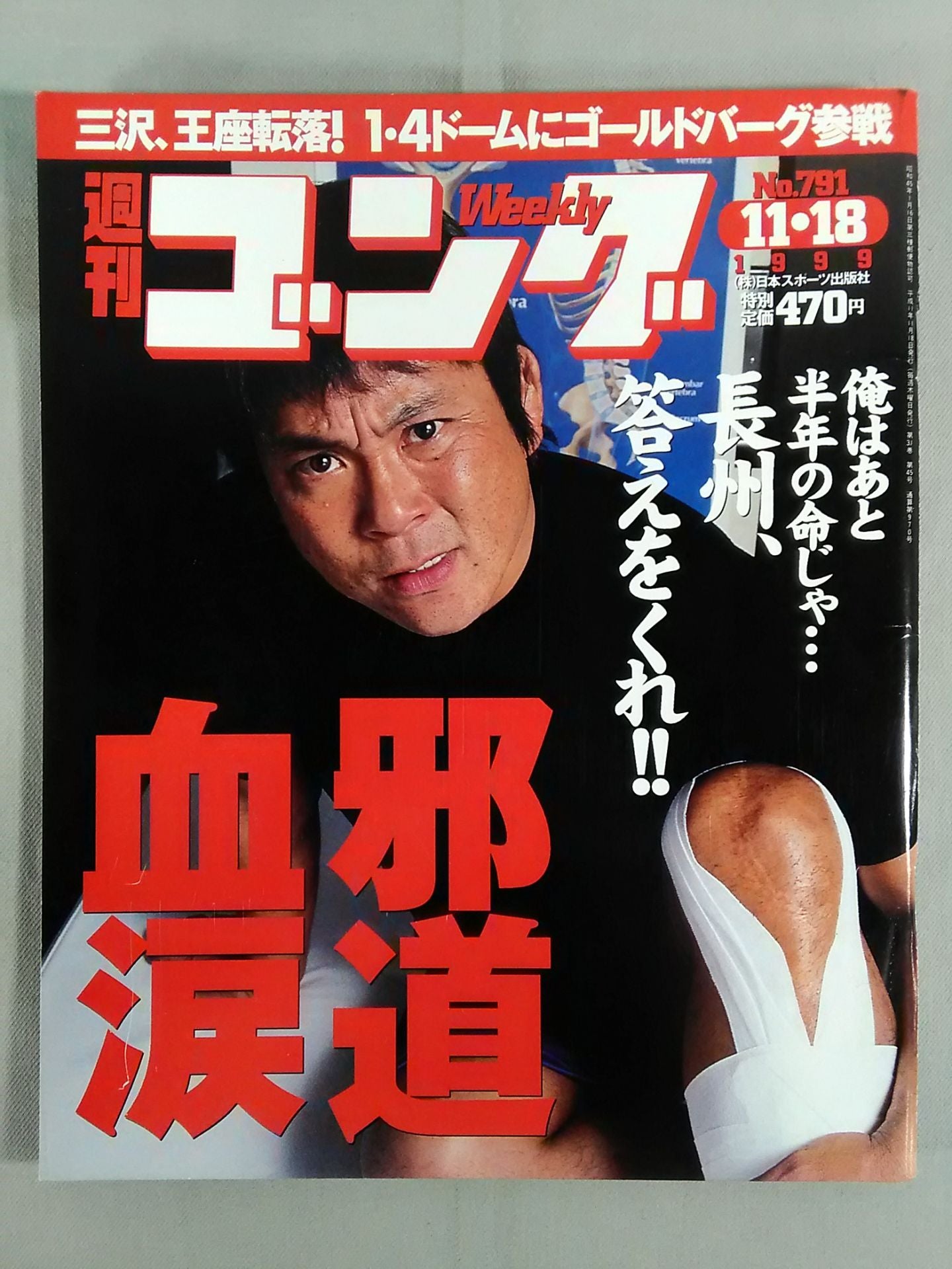 週刊ゴング791