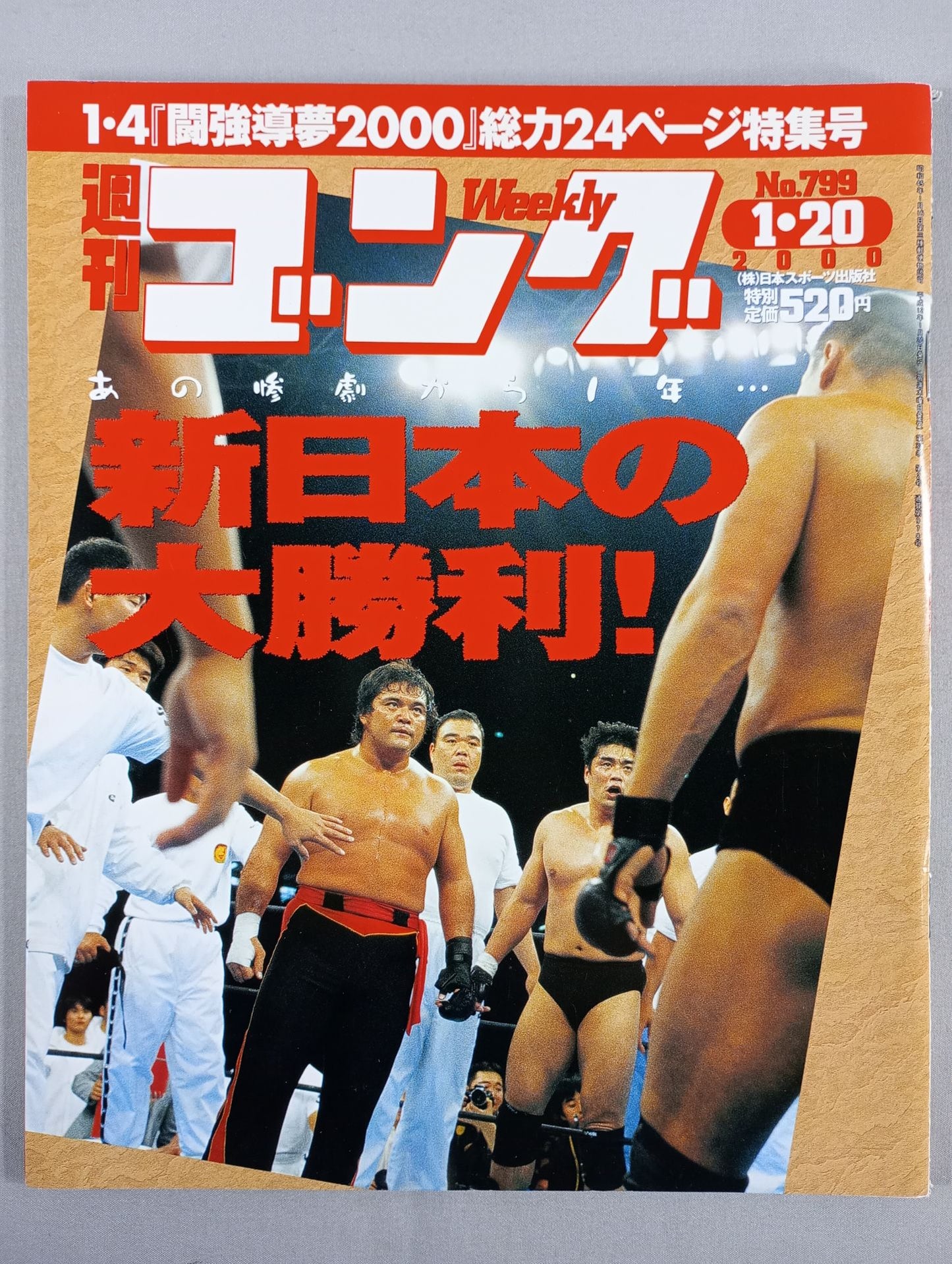 週刊ゴング799