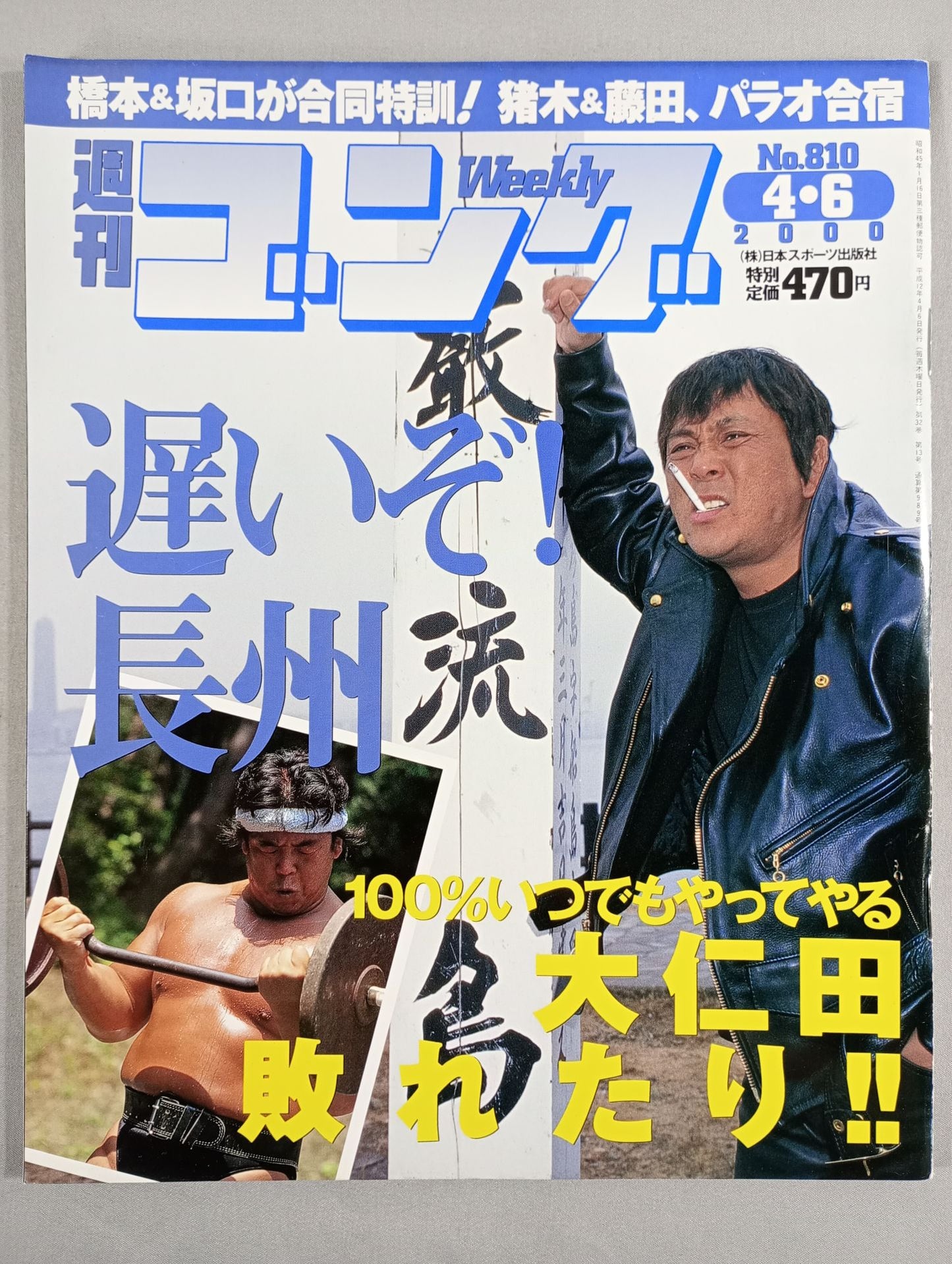 週刊ゴング810