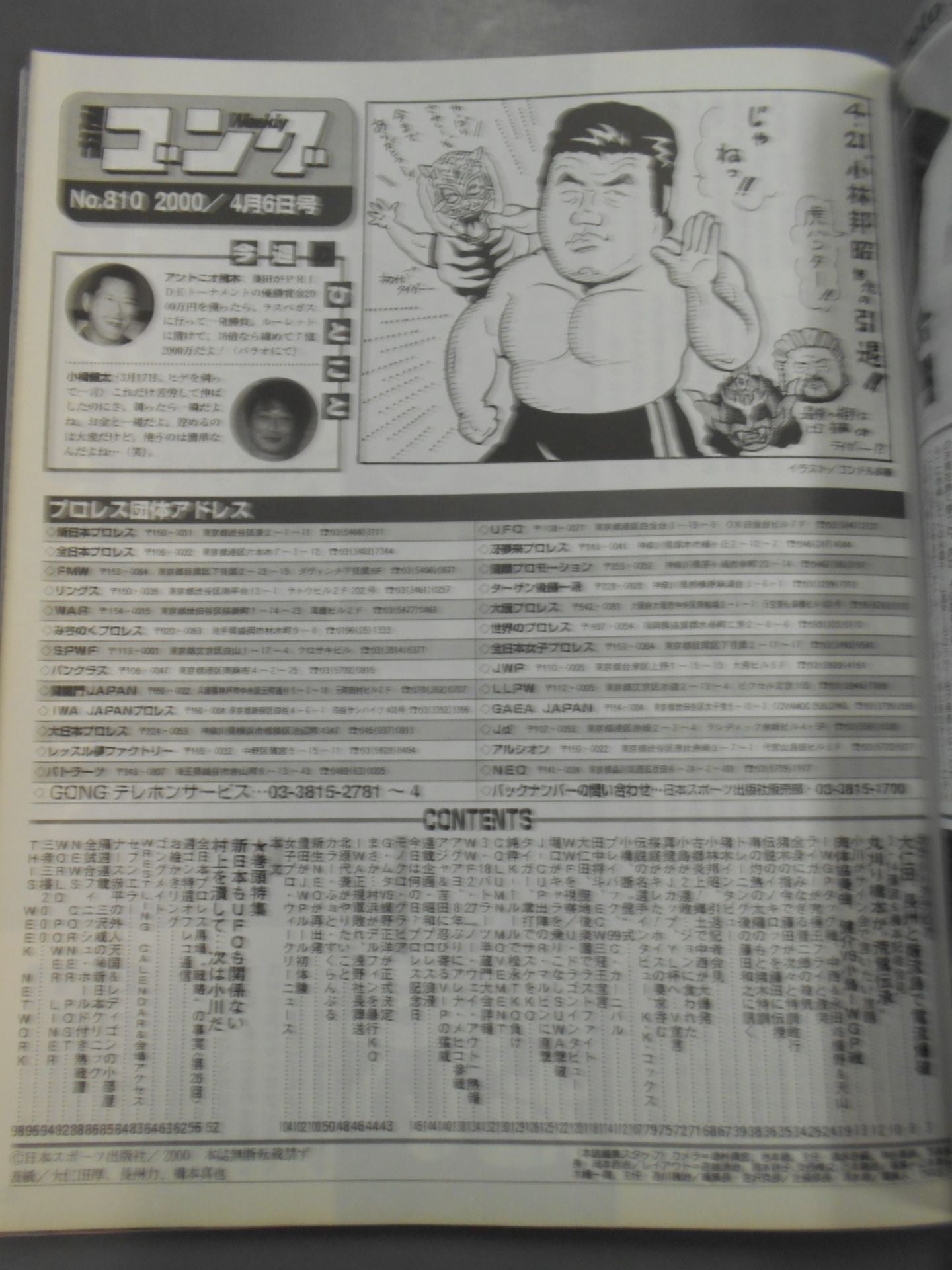 週刊ゴング810