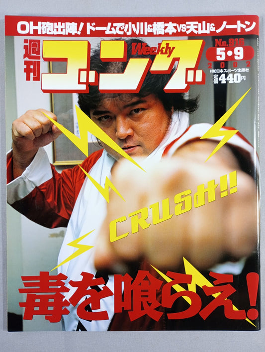 週刊ゴング916