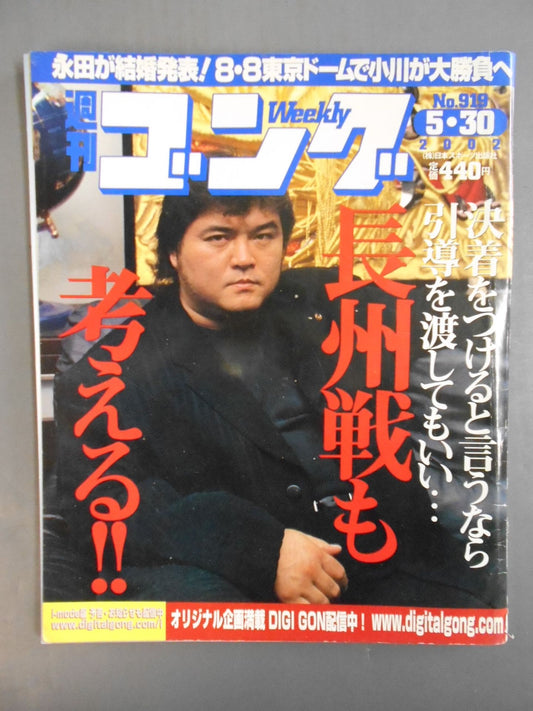 週刊ゴング919