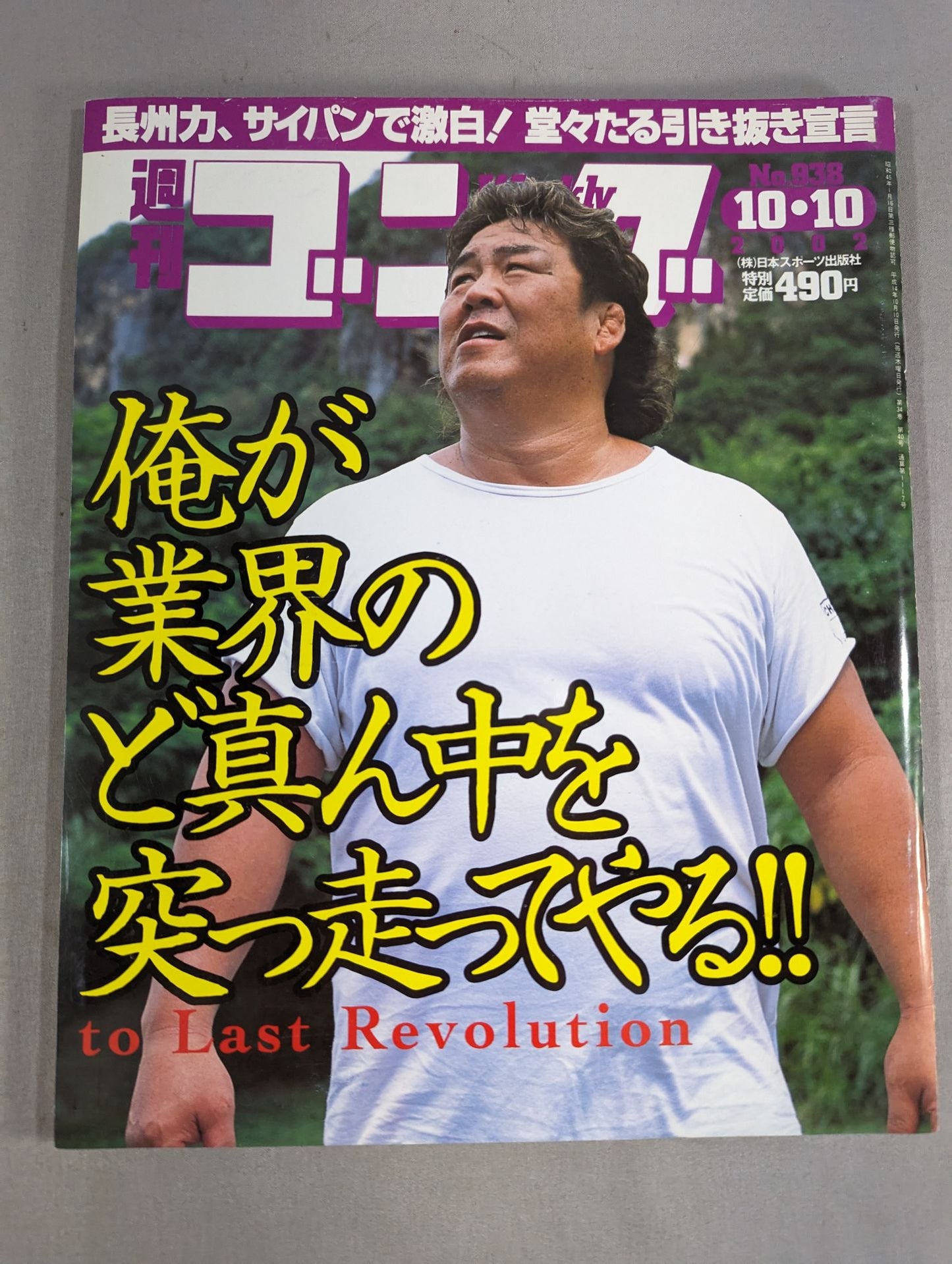 週刊ゴング938