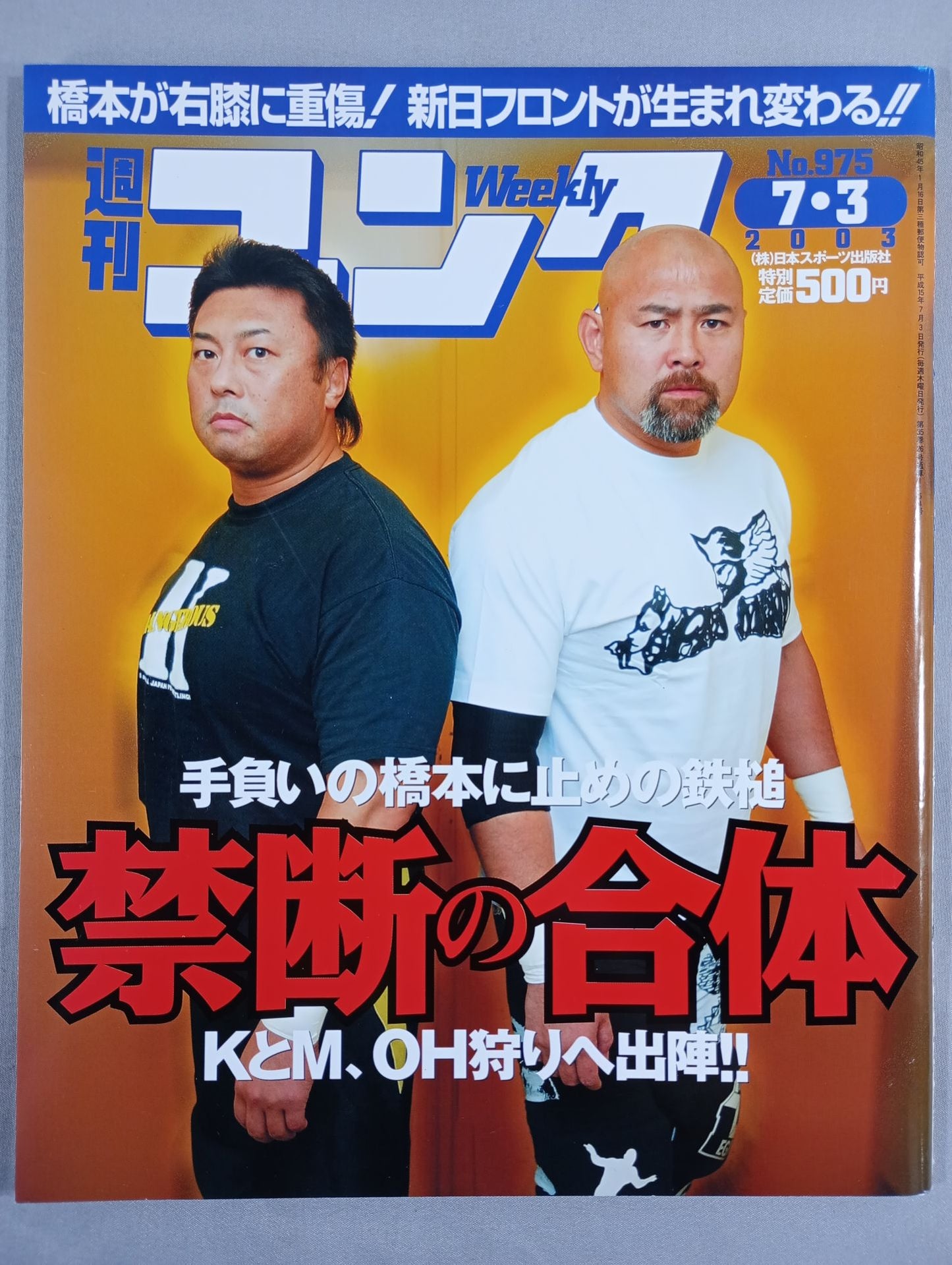 週刊ゴング975
