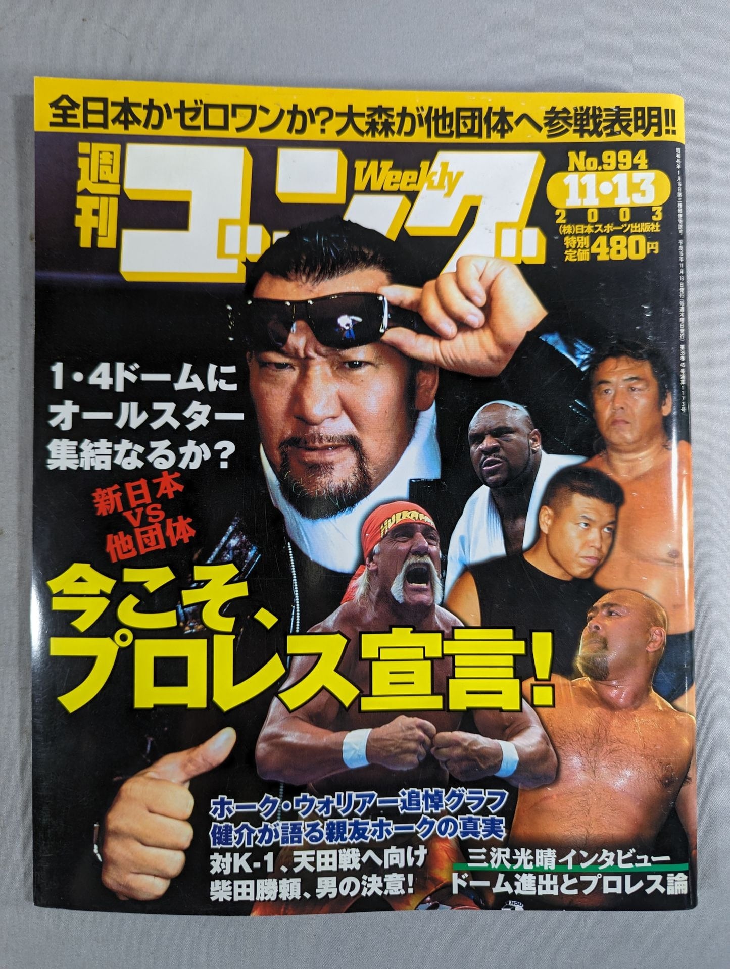 週刊ゴング994