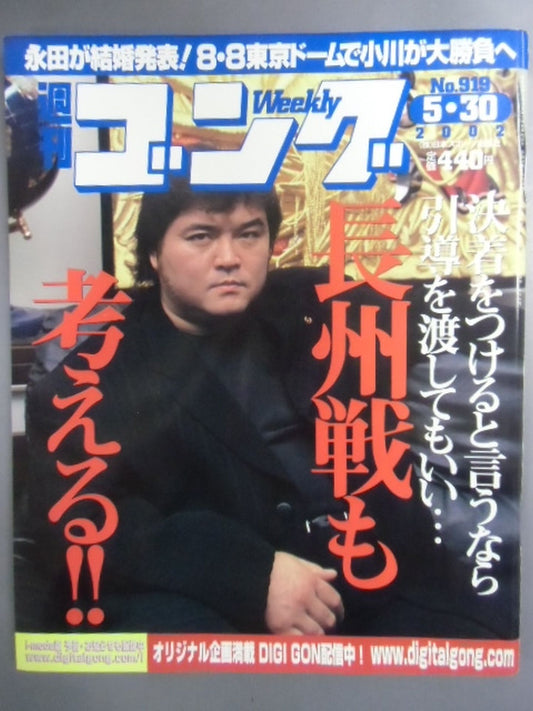 週刊ゴング919