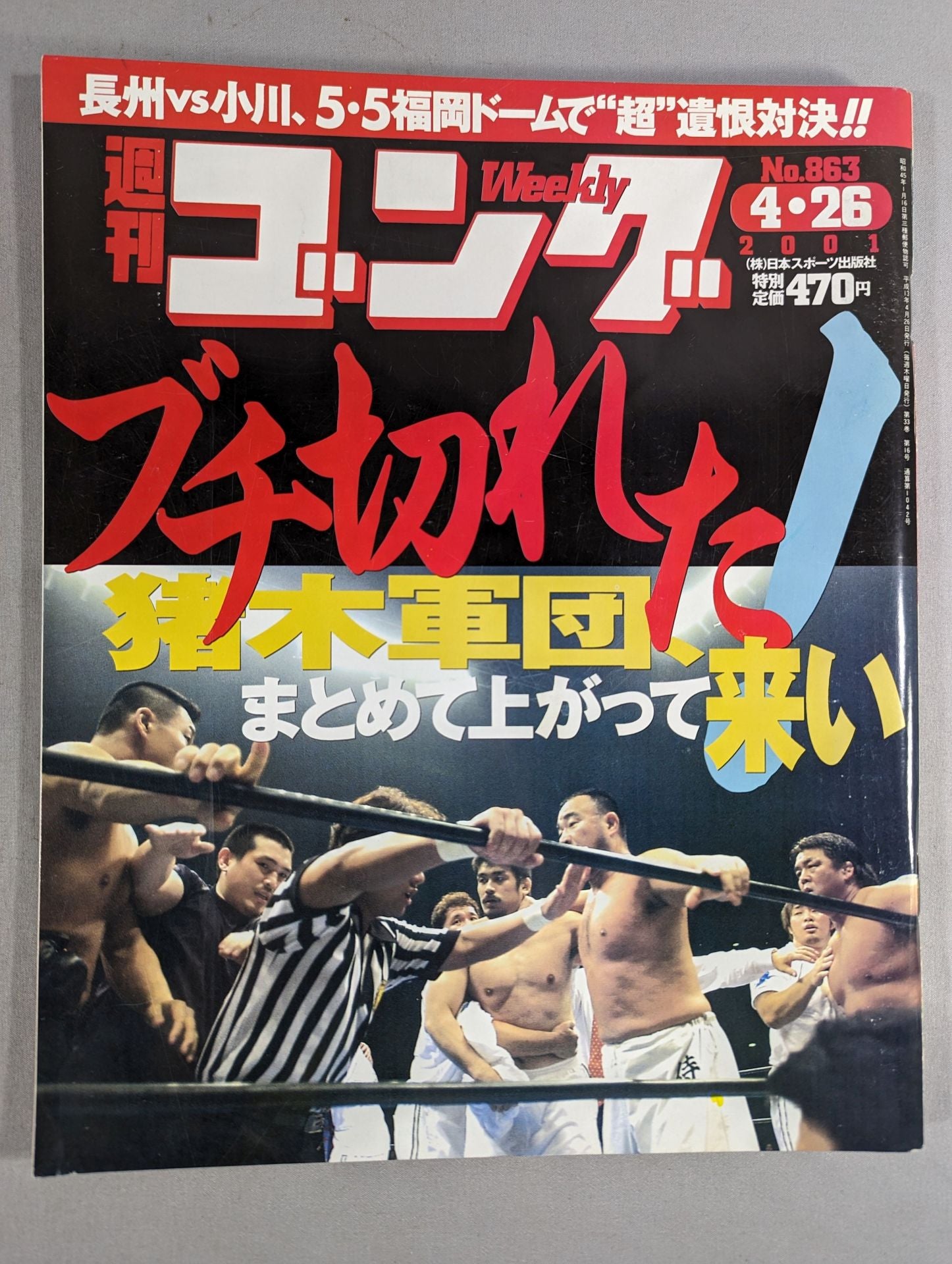 プロレス(国内団体) – Page 201 – 闘道館