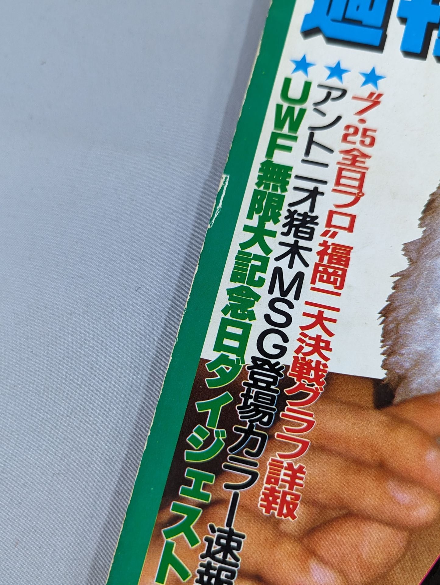 週刊ゴング13