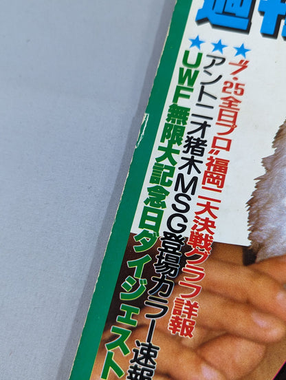 週刊ゴング13