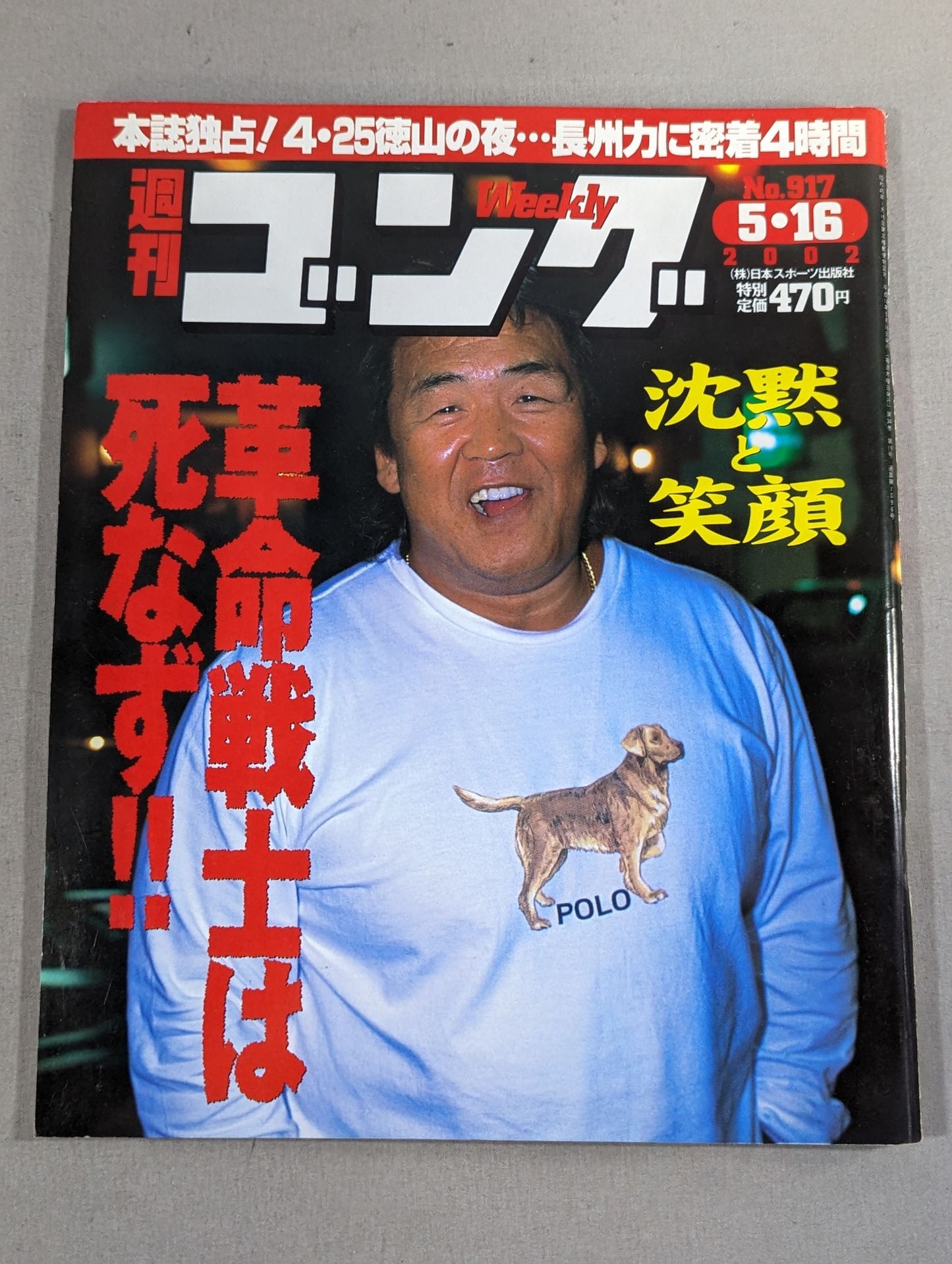 週刊ゴング917