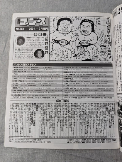 週刊ゴング851