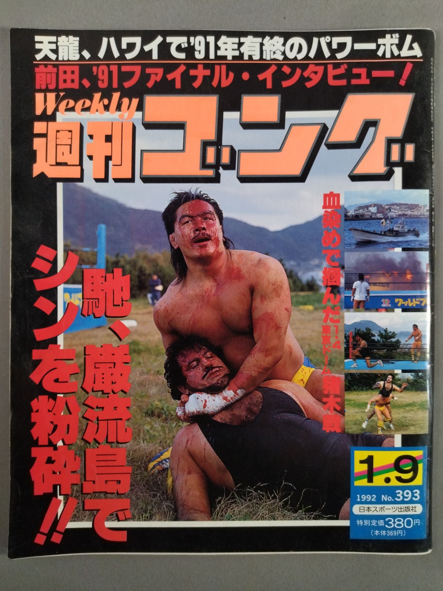 週刊ゴング393