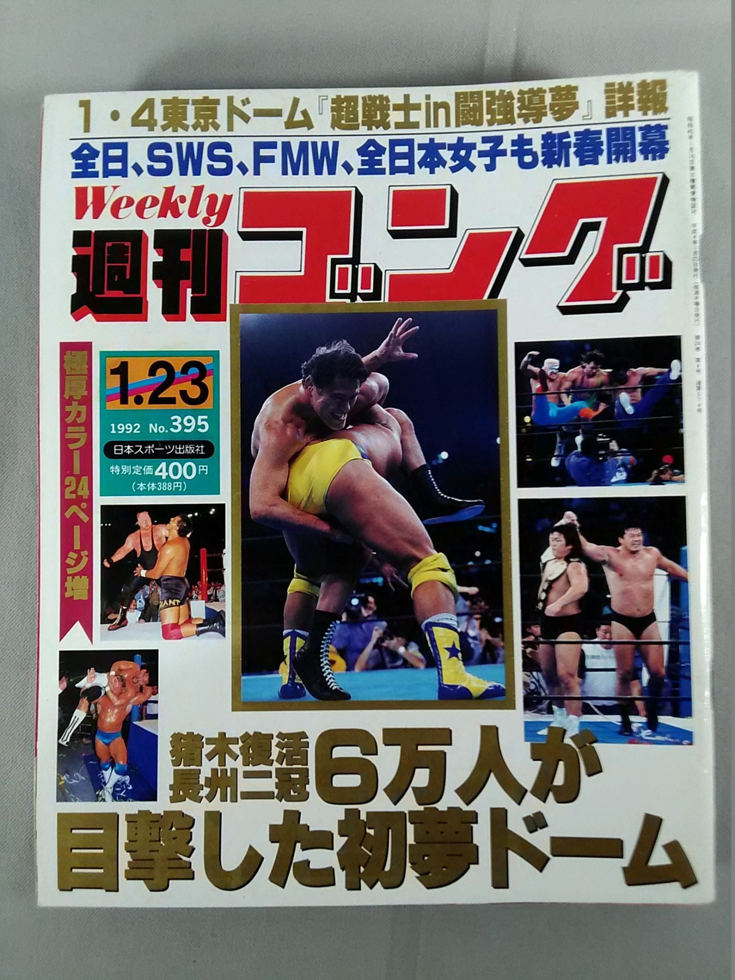 週刊ゴング395